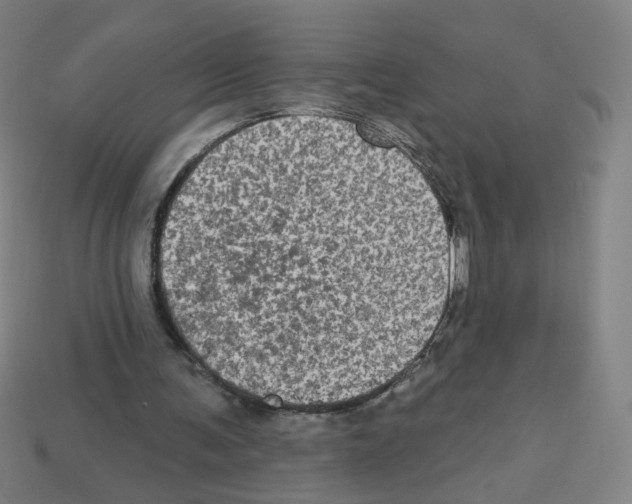 X0000113050291200910081237
