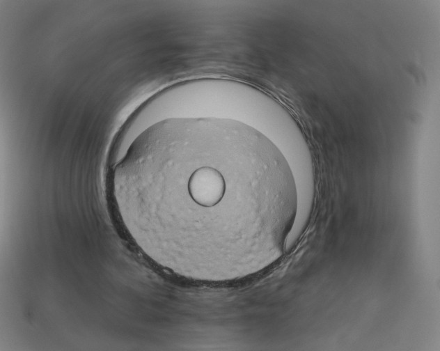 X0000113050292200910081237