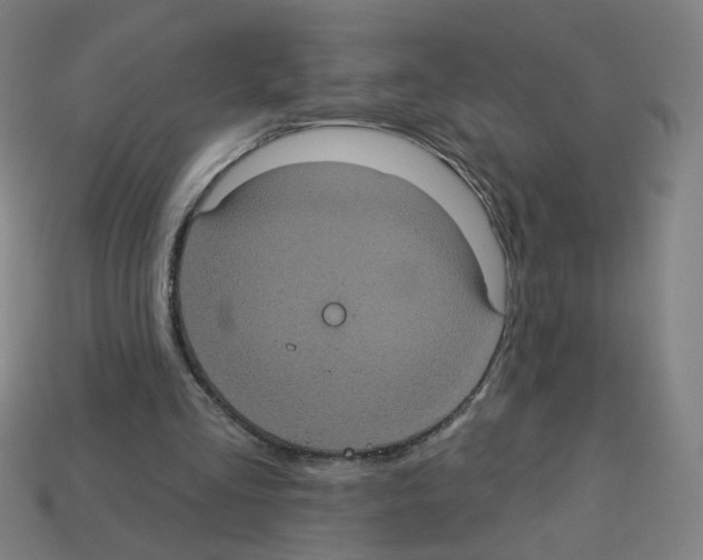 X0000113050293200910081237