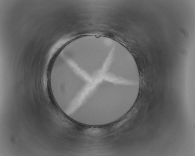 X0000113050294200910081237