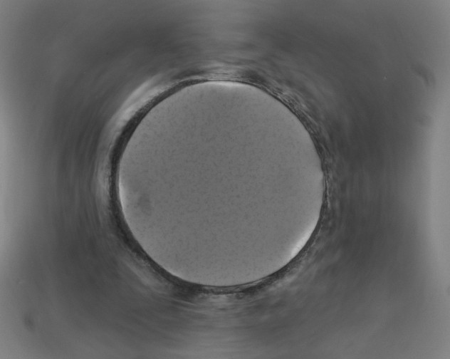 X0000113050295200910081237