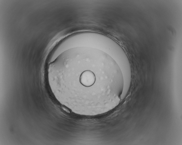 X0000113050296200910081237