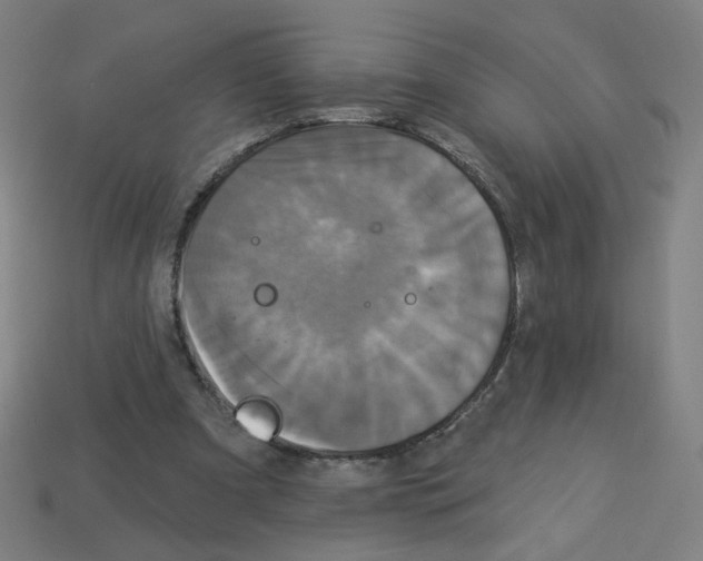X0000113050297200910081237