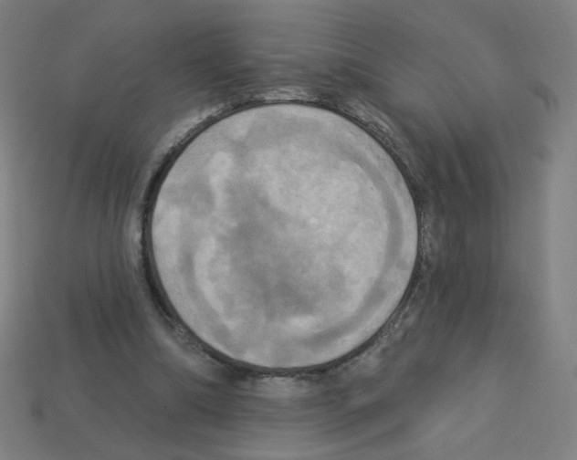 X0000113050298200910081237