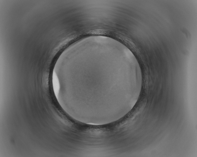 X0000113050299200910081237