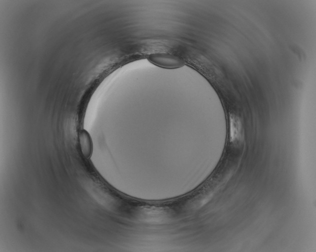 X0000113050300200910081237