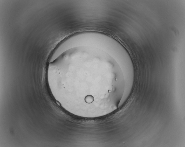 X0000113050301200910081237