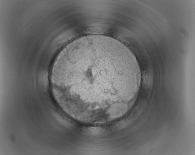 X0000113050302200910081237