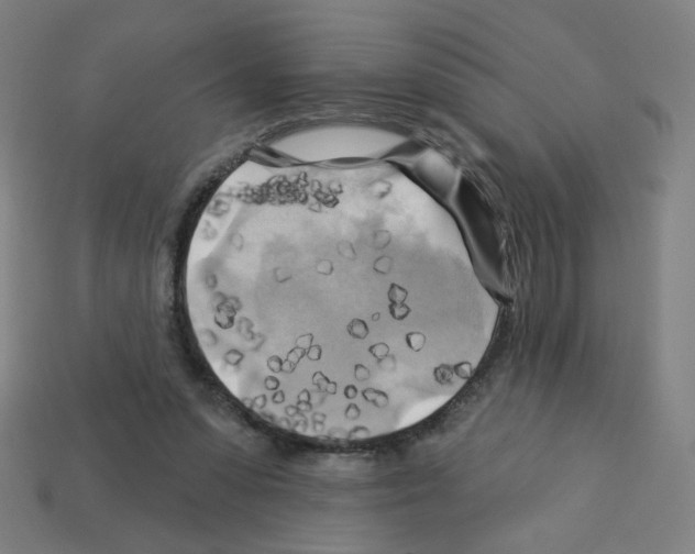 X0000113050303200910081237
