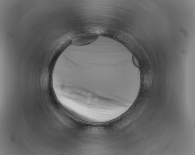 X0000113050304200910081237