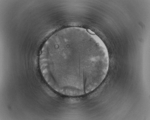 X0000113050305200910081237