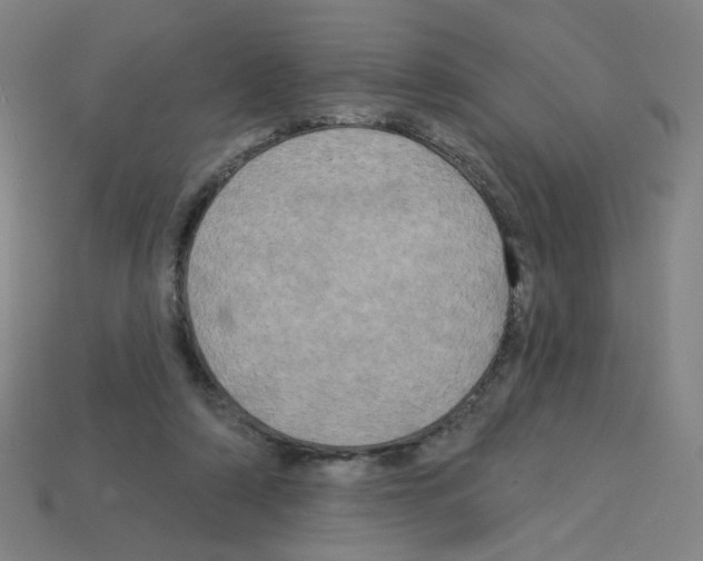 X0000113050306200910081237