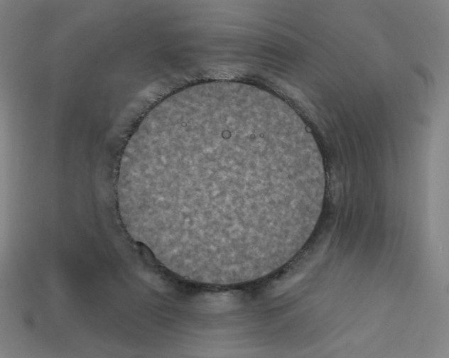 X0000113050307200910081237
