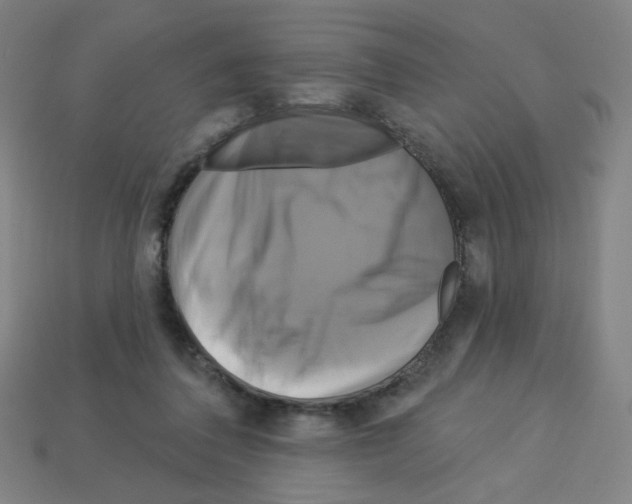 X0000113050308200910081237