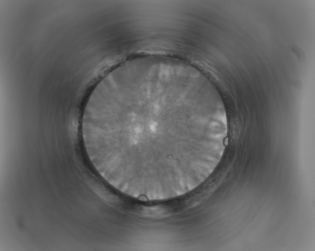 X0000113050309200910081237