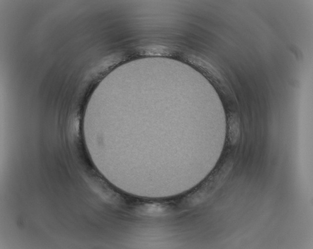 X0000113050310200910081237