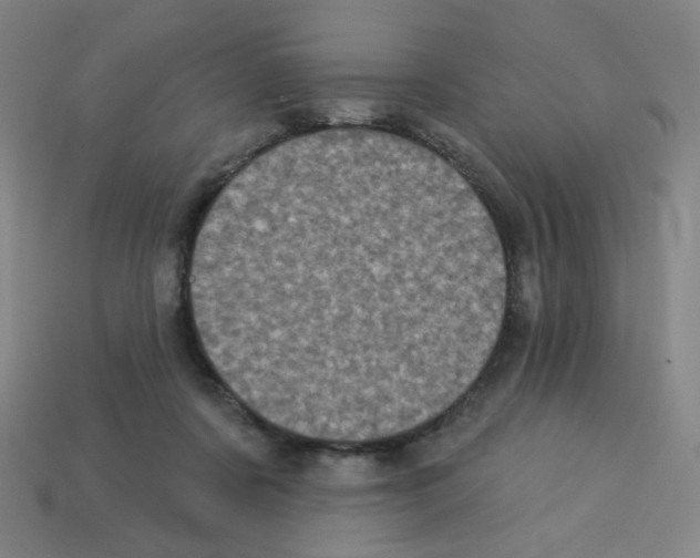 X0000113050311200910081237