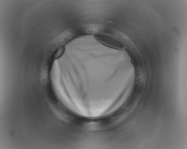 X0000113050312200910081237