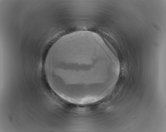 X0000113050314200910081237