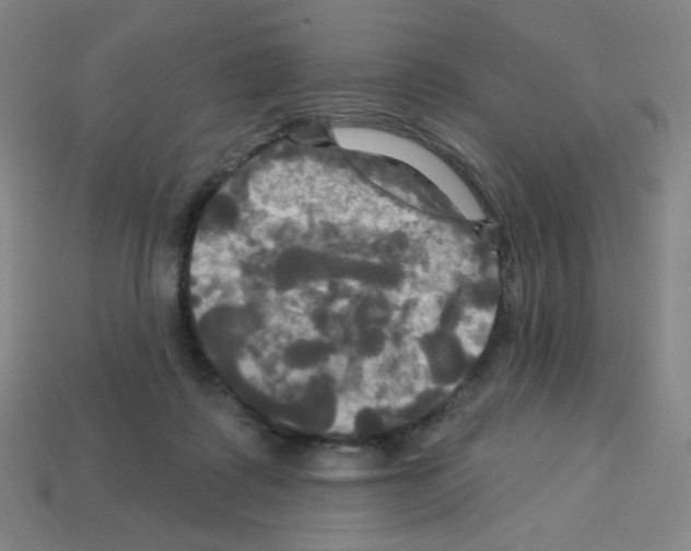 X0000113050315200910081237