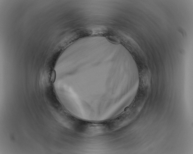 X0000113050316200910081237