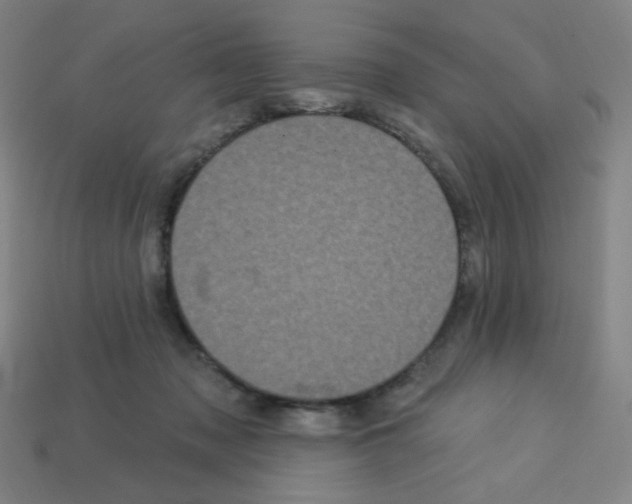 X0000113050317200910081237