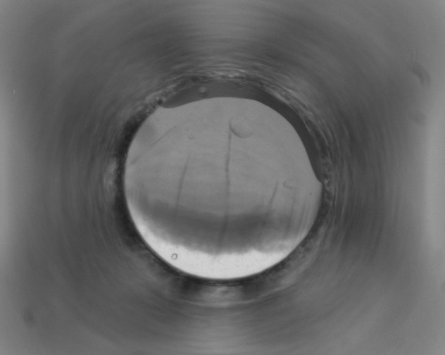 X0000113050319200910081237