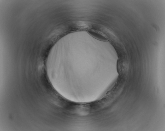 X0000113050320200910081237