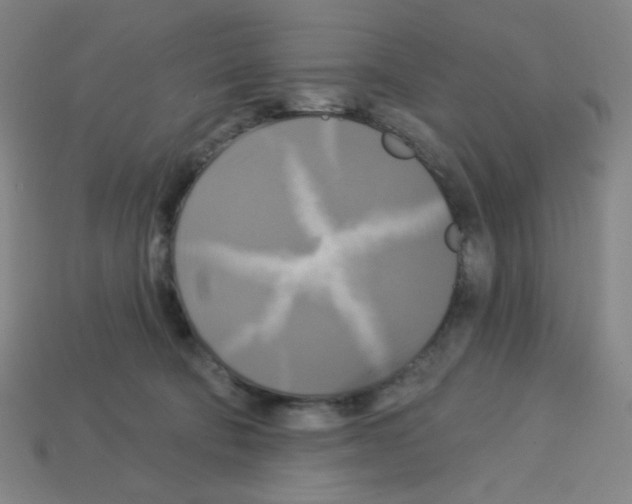 X0000113050322200910081237