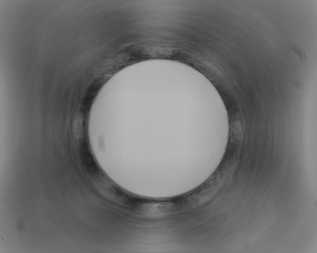 X0000113050323200910081237