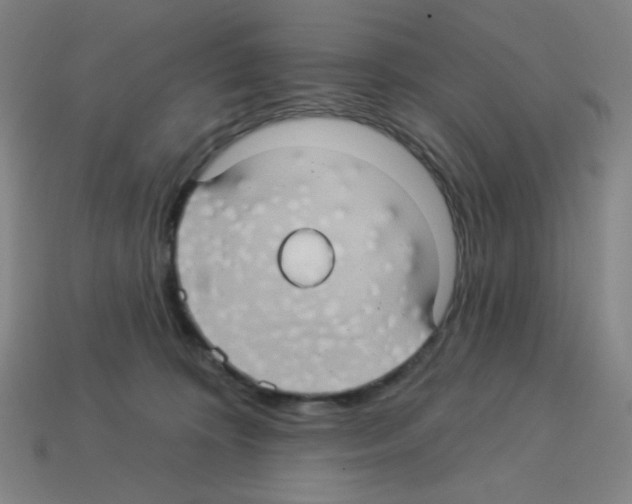 X0000113050324200910081237