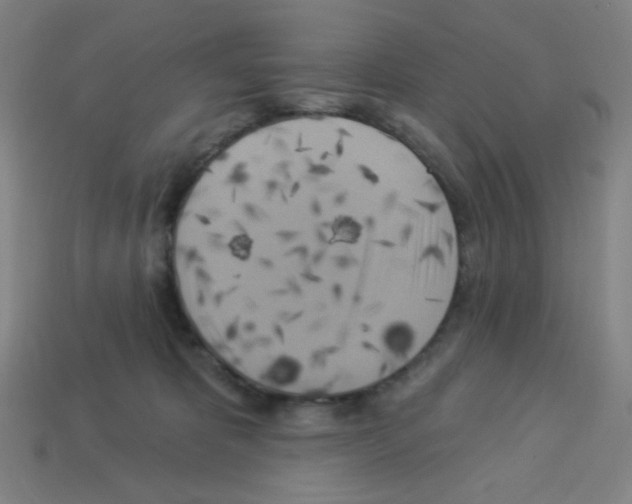X0000113050325200910081237