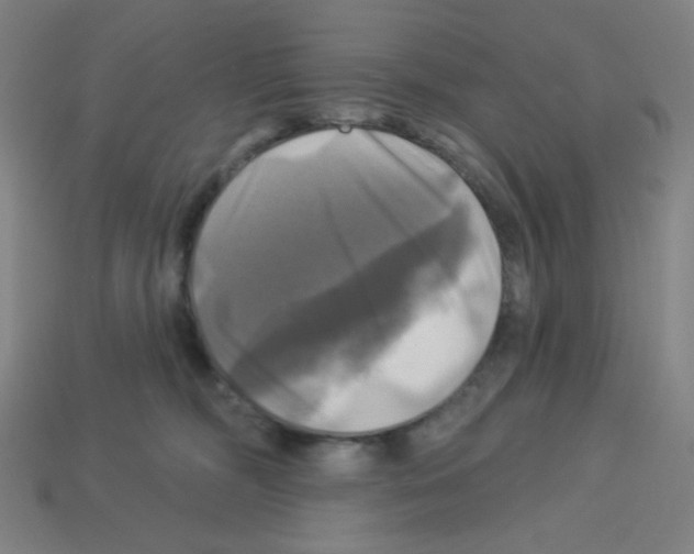 X0000113050326200910081237
