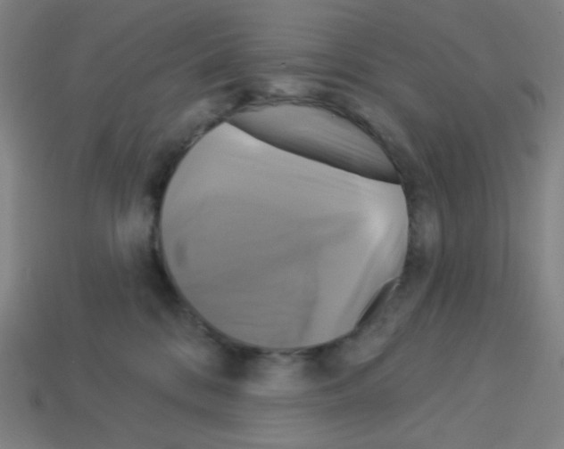 X0000113050328200910081237