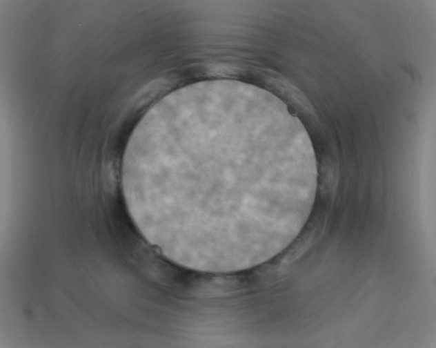 X0000113050329200910081237