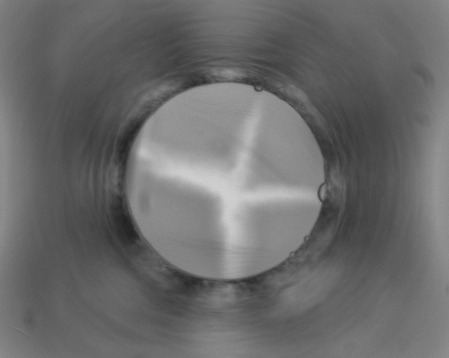 X0000113050330200910081237