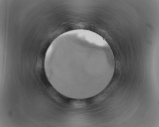 X0000113050331200910081237