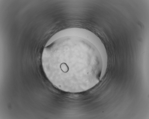 X0000113050332200910081237