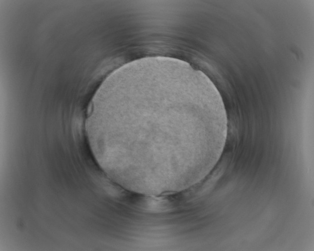 X0000113050333200910081237