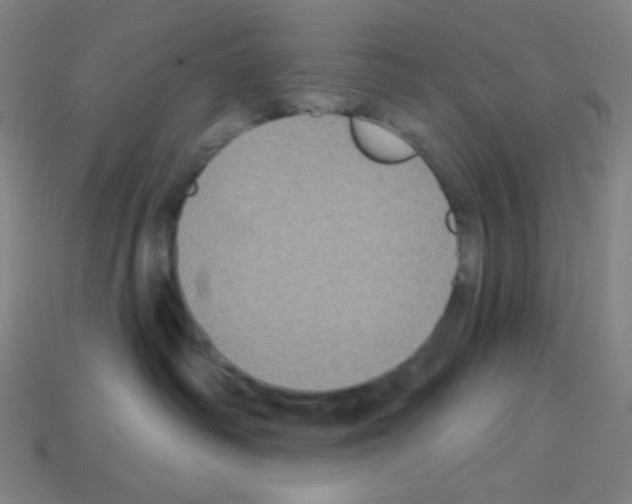 X0000113050334200910081237