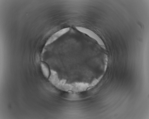 X0000113050335200910081236
