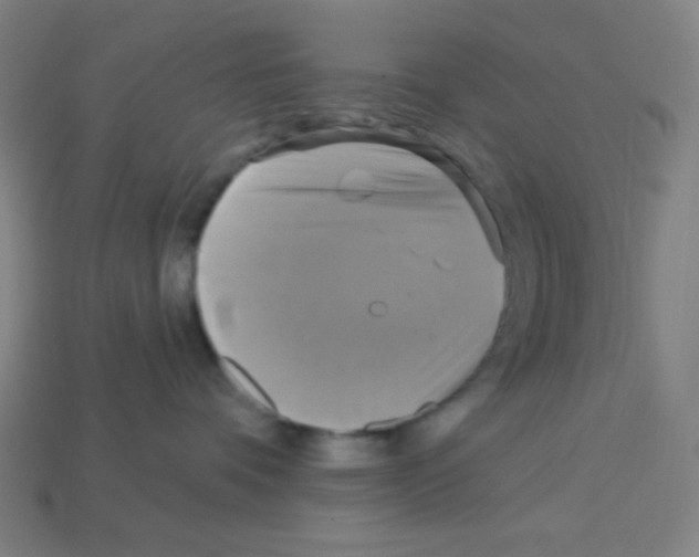 X0000113050336200910081236