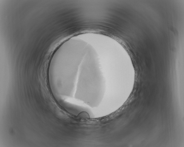 X0000113050337200910081236