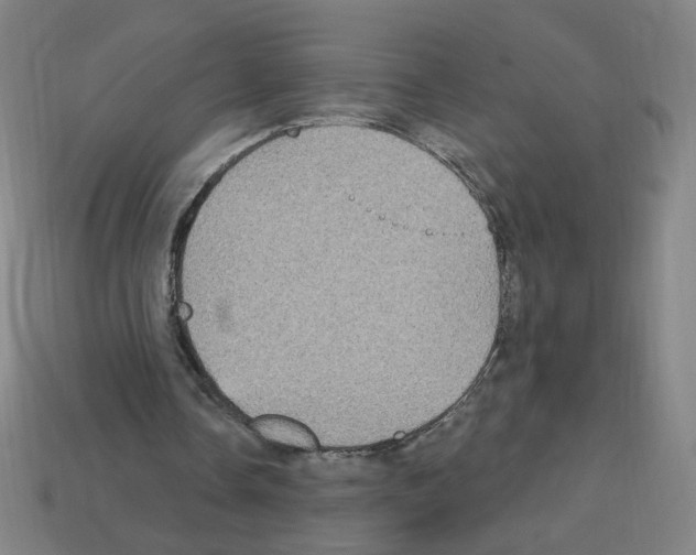 X0000113050338200910081236
