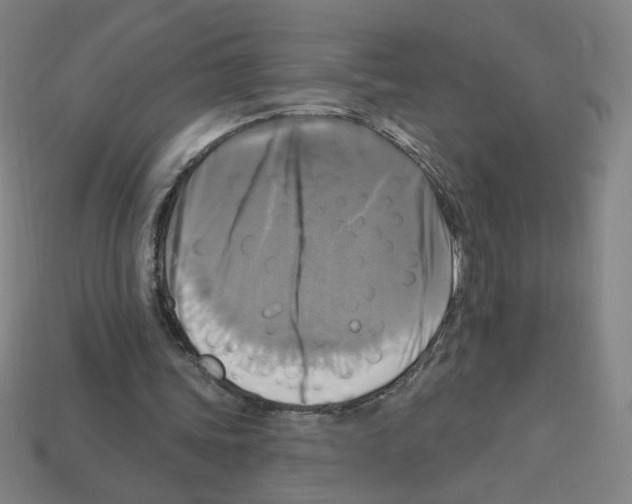 X0000113050339200910081236