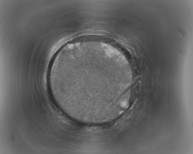 X0000113050340200910081236
