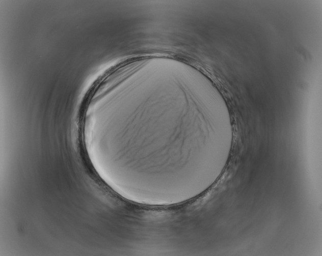 X0000113050342200910081236