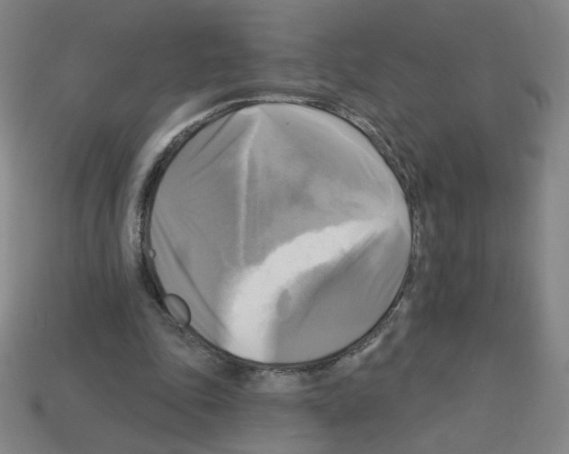 X0000113050343200910081236