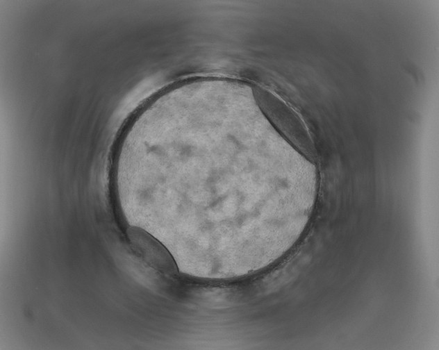 X0000113050344200910081236