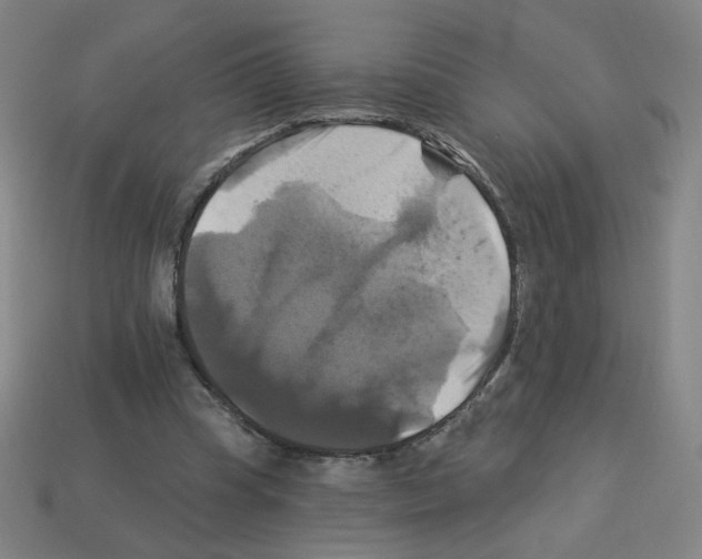 X0000113050345200910081236